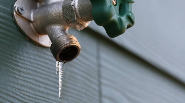 Best Leak Detection Services  in Buffalo Center, IA