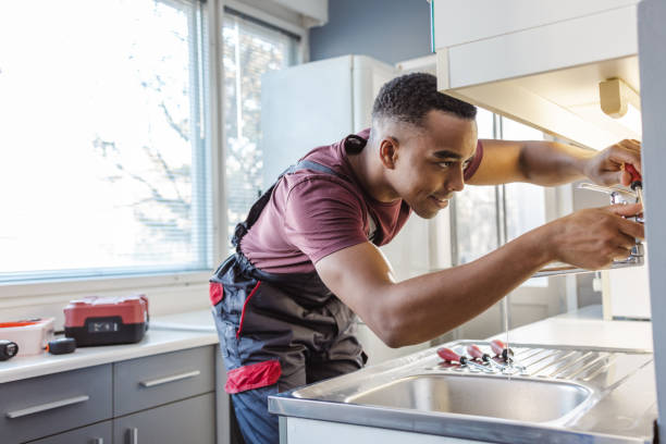 Best Local Plumber Services  in Buffalo Center, IA