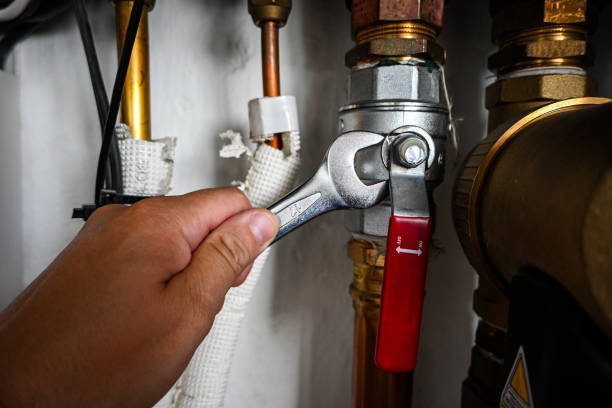 Best Local Plumber Services  in Buffalo Center, IA